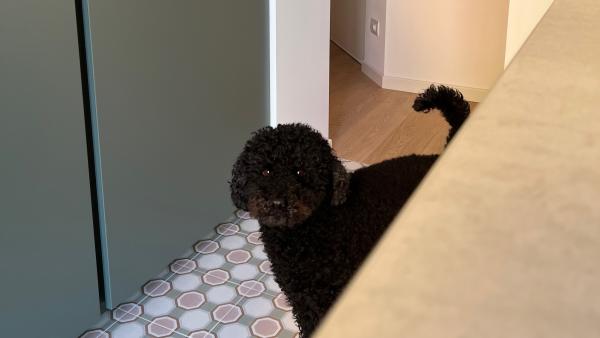 Ingresso visto da cucina