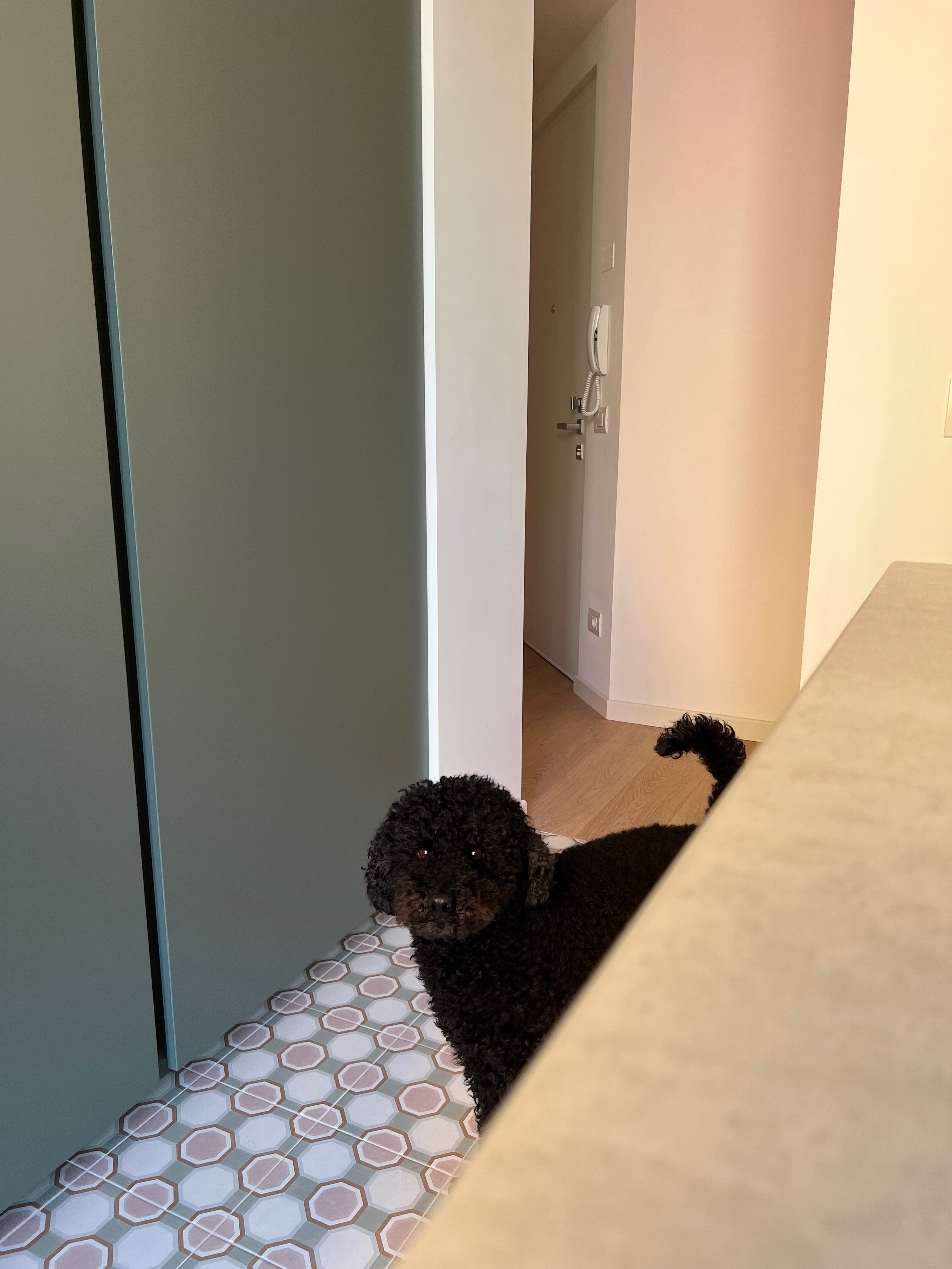 Ingresso visto da cucina