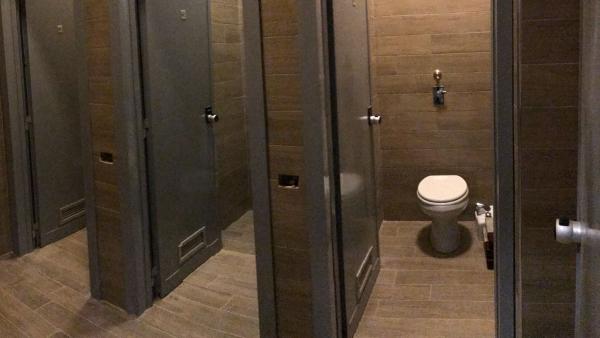 Toilet after renovation